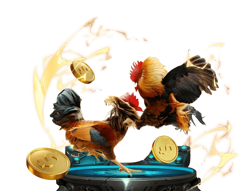 Ưu Đãi Đá Gà Trực Tiếp Thomo